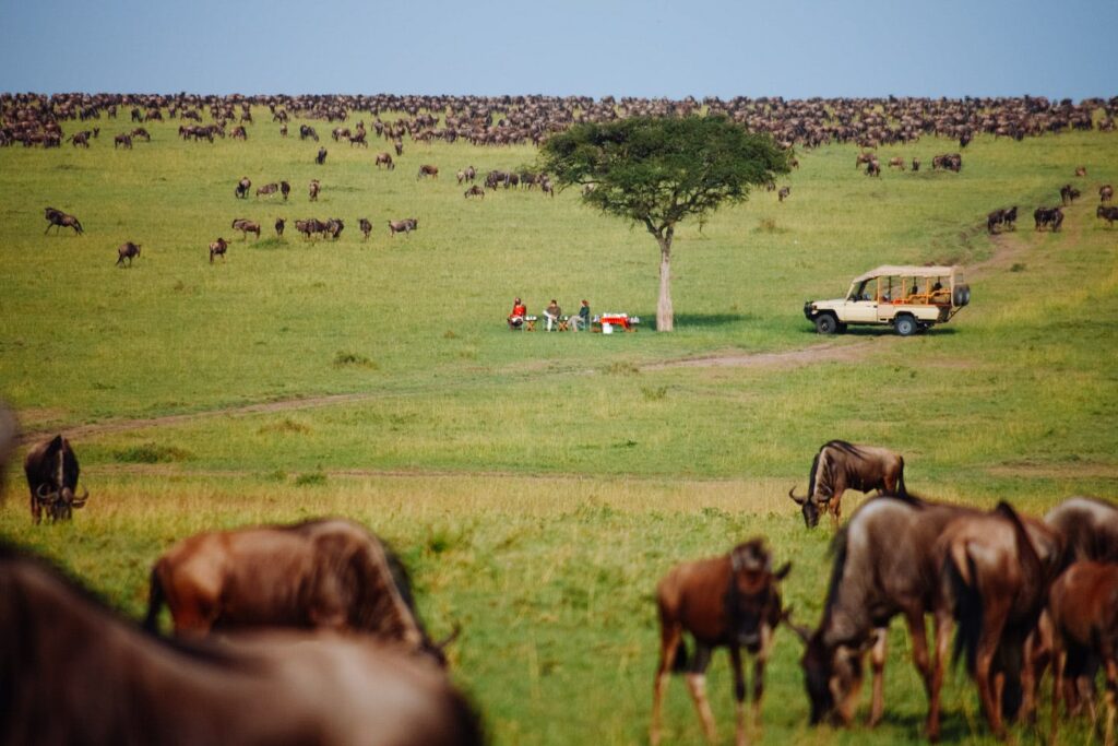 How to start planning 12 Days safari in Tanzania 